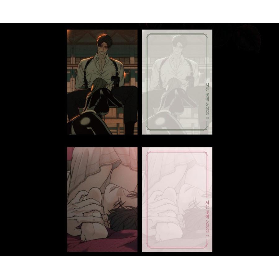 枯れた花に涙を ポストカード イラストカード ハガキ 韓国グッズ