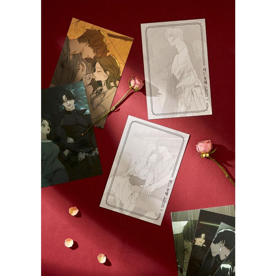 枯れた花に涙を ポストカード イラストカード ハガキ 韓国グッズ