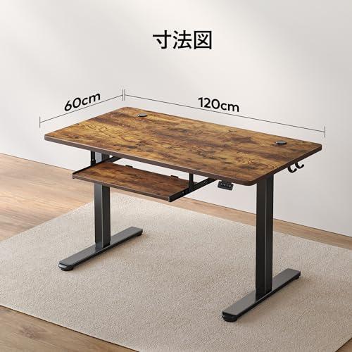 FEZIBO 昇降デスク スタンディングデスク 幅120cm*奥行き60cm 電動昇降