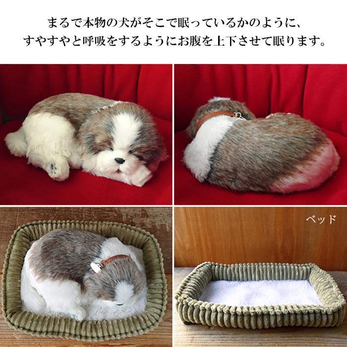 ニニアンドキノ パーフェクトペット (小サイズ) シーズー ぬいぐるみ