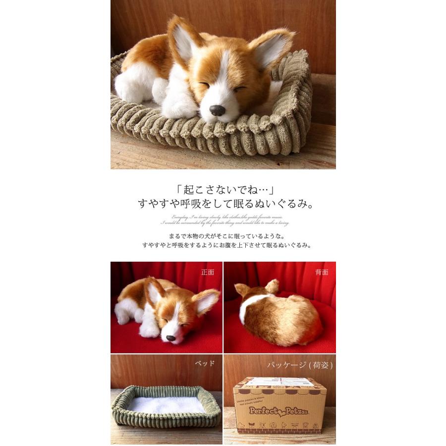 ニニアンドキノ パーフェクトペット (小サイズ) コーギー ぬいぐるみ