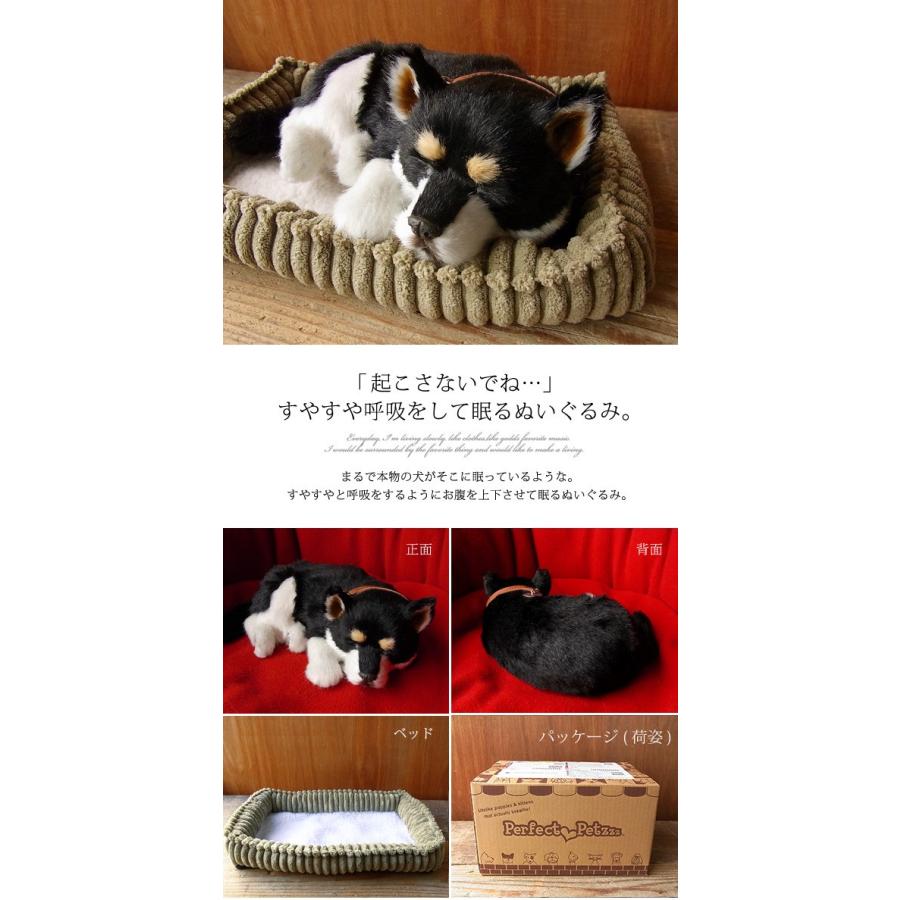 ニニアンドキノ パーフェクトペット (小サイズ) 柴犬 (黒) ぬいぐるみ