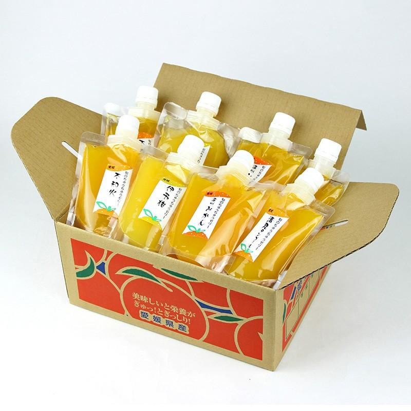 お取り寄せ ちゅうちゅうゼリー 旬の柑橘 気まぐれセット 10個 送料