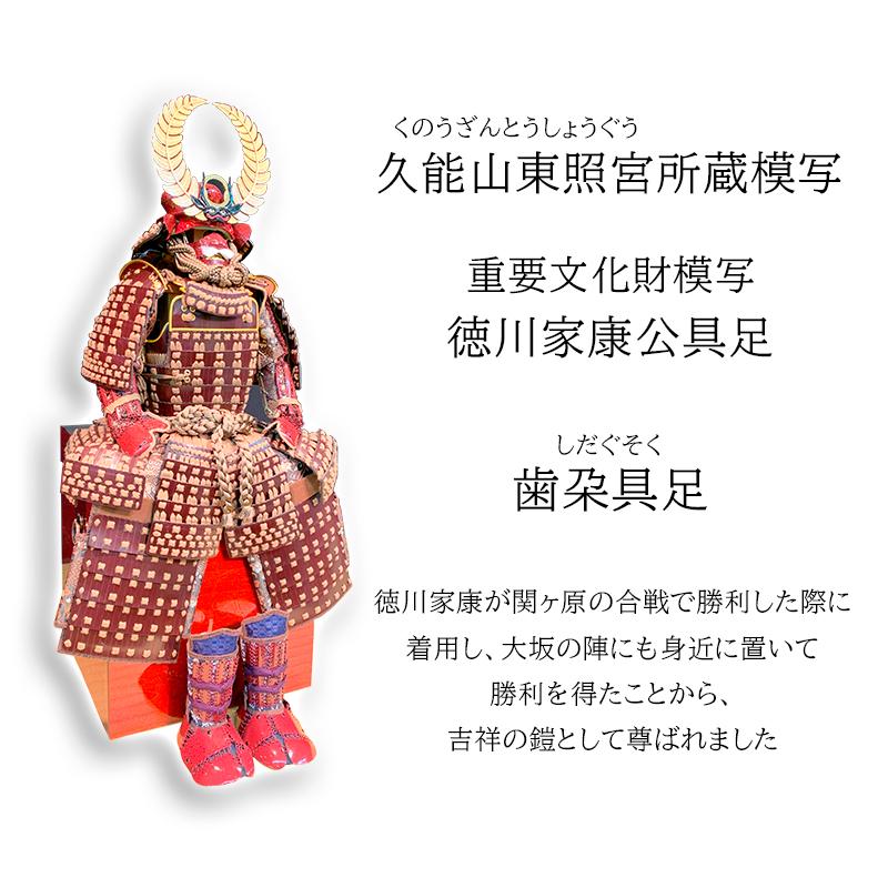 五月人形 徳川家康 甲冑 兜 鎧 関ヶ原合戦 大坂の陣 歯朶具足 しだ