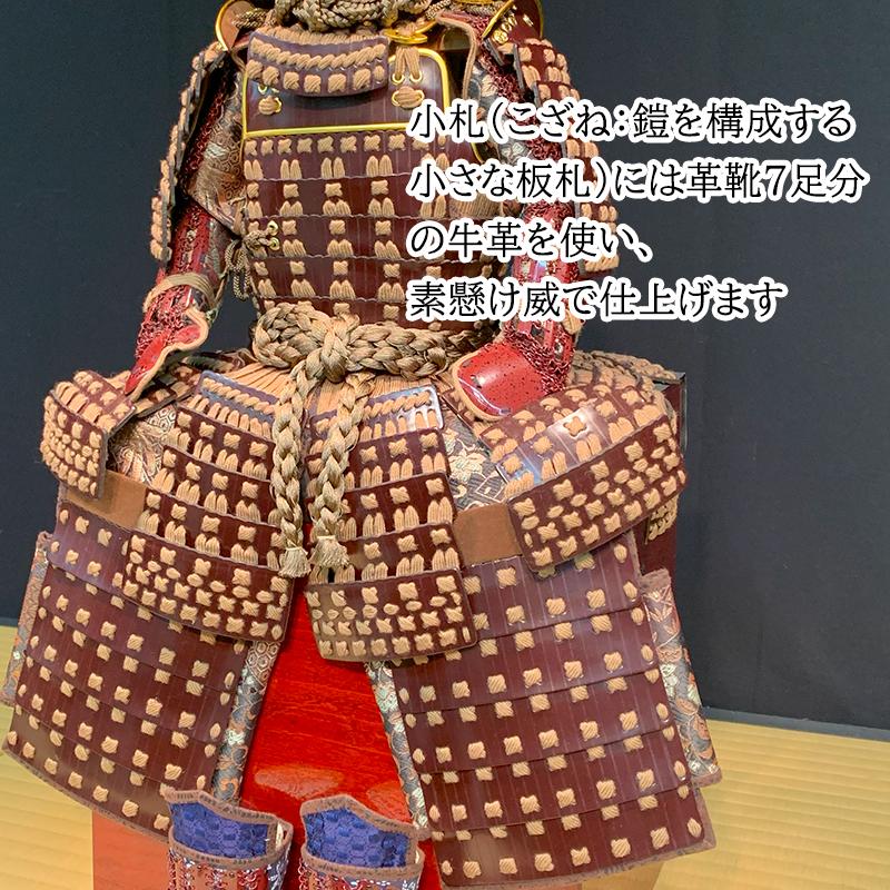 五月人形 徳川家康 甲冑 兜 鎧 関ヶ原合戦 大坂の陣 歯朶具足 しだ