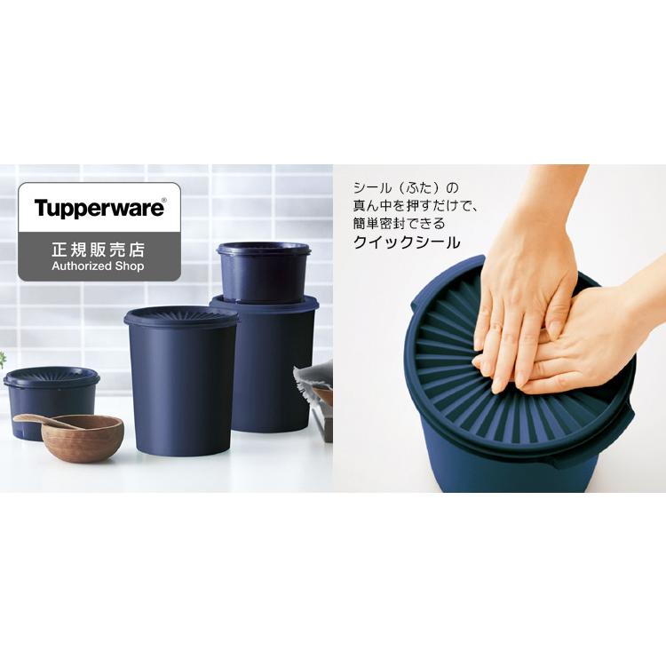 正規販売店 タッパーウェア ミニデコレーター 選べる2セット 560ml2個