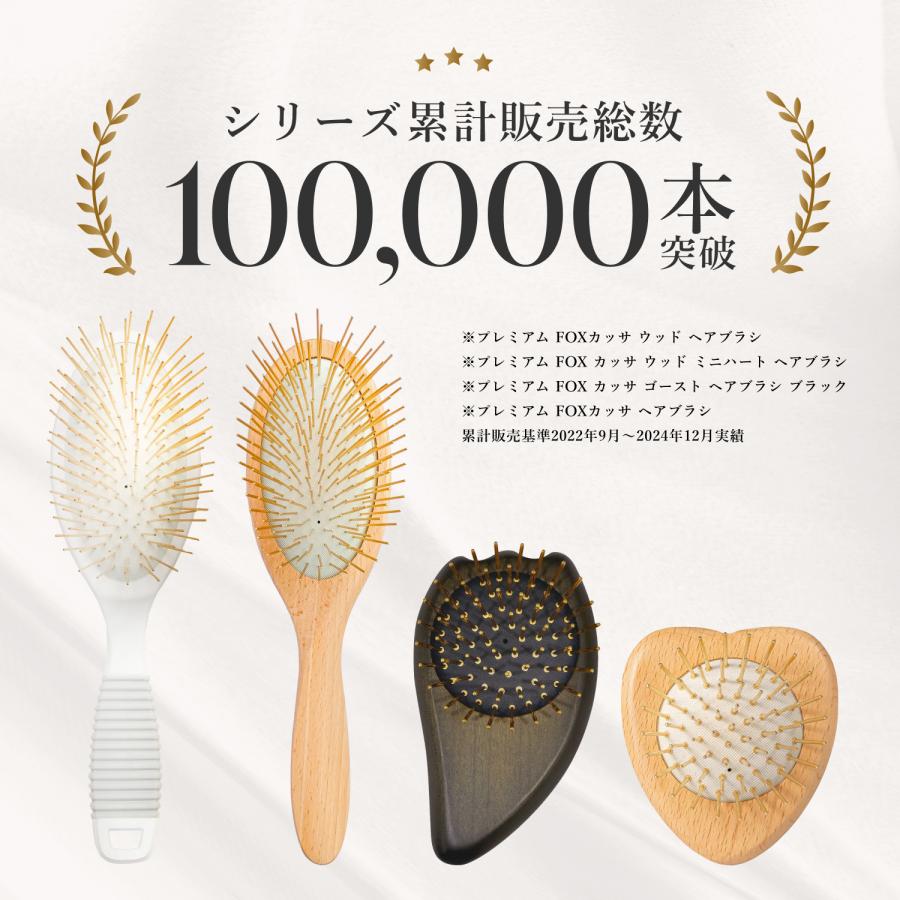 SNOW FOX SKINCARE ヘアブラシ カッサ 美顔器買うより、これだった