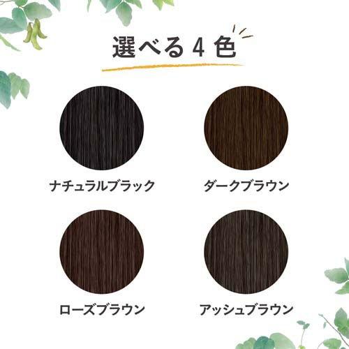ブローネ ナチュリラ 色長持ちカラートリートメント ブラック つけかえ