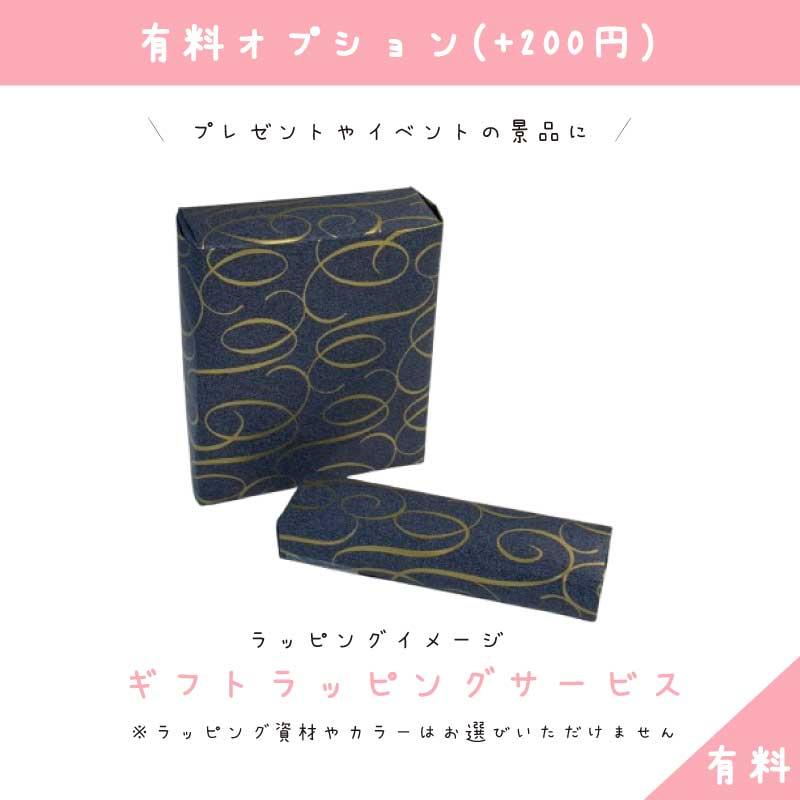 Apple ラッピング可 Apple AirPods 4 アクティブノイズキャンセリング