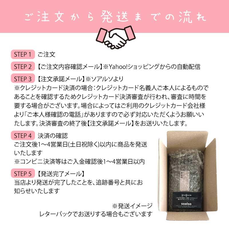 Apple Airpods Pro2 Apple正規品 新品未開封 ラッピング MagSafe 充電