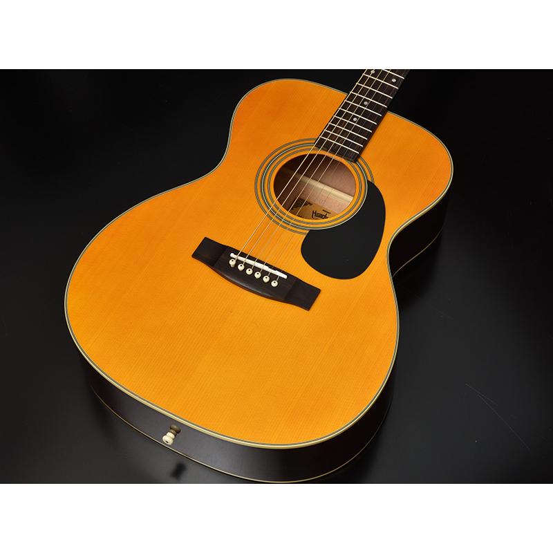 Headway ヘッドウェイ アコースティックギター HF-45S ANA アコギ