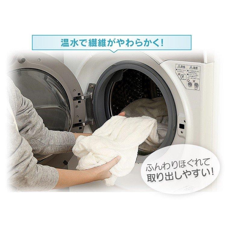 IRIS OHYAMA（アイリスオーヤマ） 洗濯機 一人暮らし ドラム式 二人