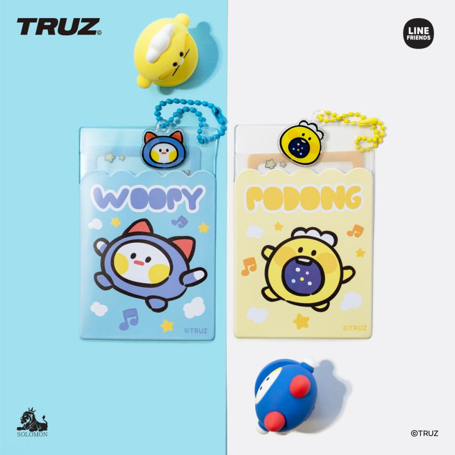 ソロモン商事 TRUZ minini フォトカードホルダー(フレームカード