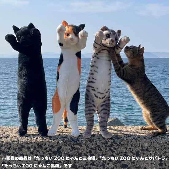 たっちぃZoo にゃんこ 三毛猫 猫のぬいぐるみ : ソプラノYahoo!店