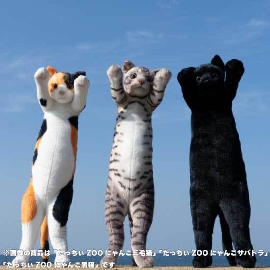 たっちぃZoo にゃんこ 黒猫 猫のぬいぐるみ : ソプラノYahoo!店 - 通販