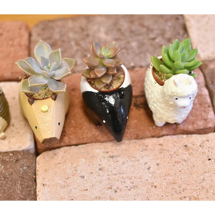 1寸用 プランター リトルレジンポット 珍獣シリーズ : SORACIEL - 通販