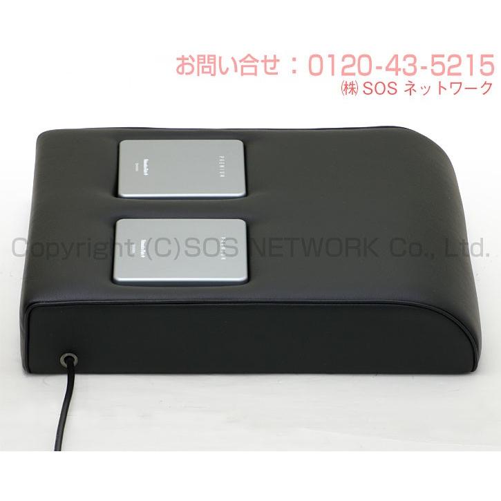 リラクゼーションパーク PREMIUM シートクッション ミニ 中古 AAランク