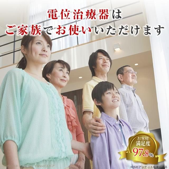 パワーヘルス PH-13000 Aランク 10年保証 株式会社ヘルス 電位治療器