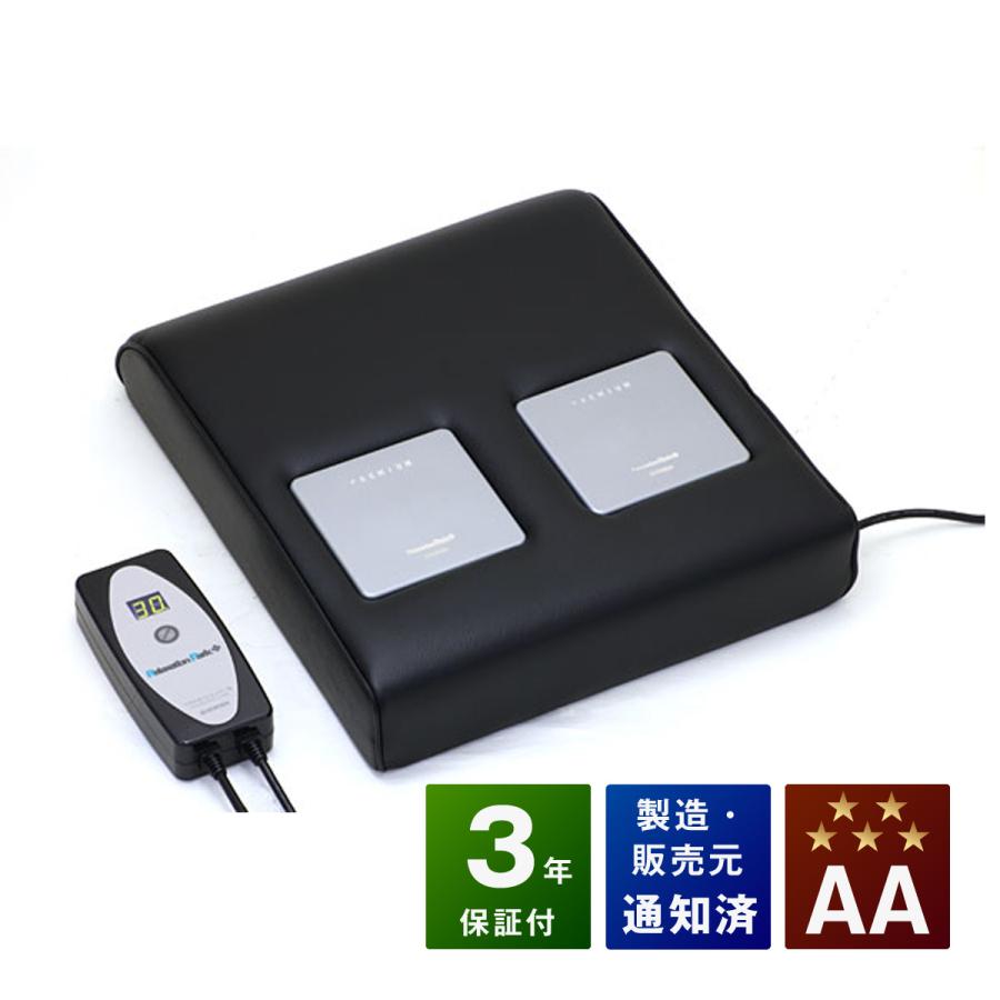 リラクゼーションパーク PREMIUM シートクッション ミニ 中古 AAランク