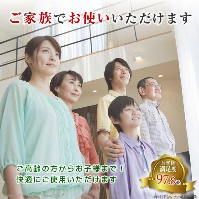 温蒸浴うるおいIII 中古 Bランク 1年保証 温熱治療器 フランス総合医療
