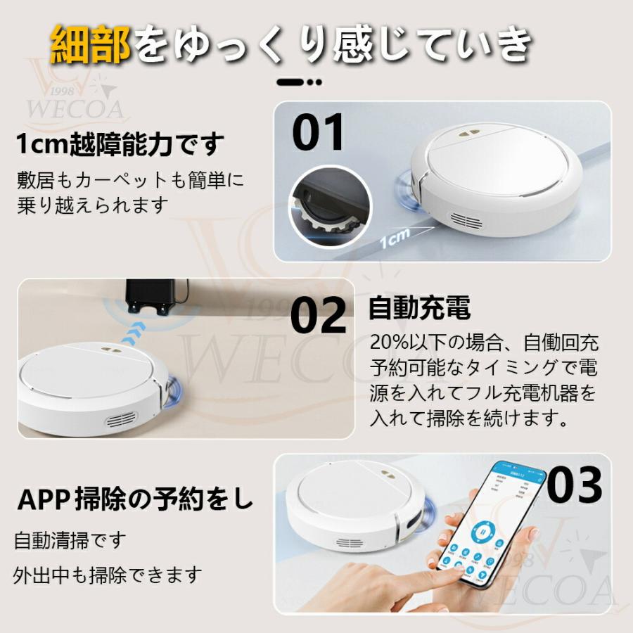 ロボット掃除機 8500Pa 強力吸引 水拭き両用 高性能 自動ゴミ収集 収納