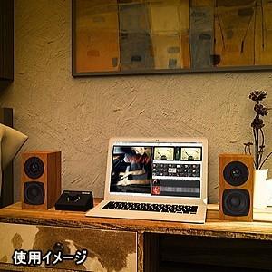 FOSTEX P802-S (2台1組) フォステクス スピーカーシステム : サガミ