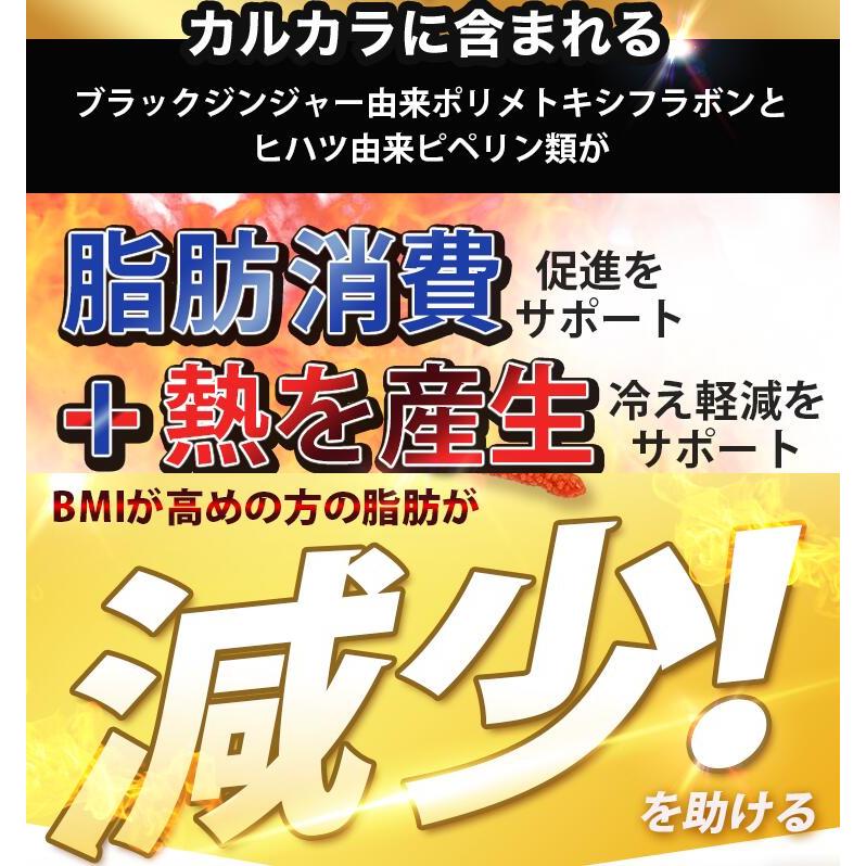 サン・クラルテ製薬 サプリ ダイエット 機能性表示食品 カルカラ