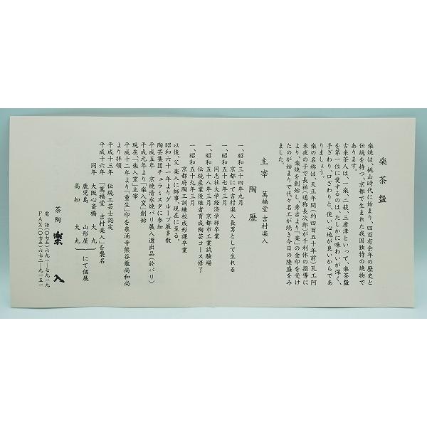 茶道具 茶碗 茶碗 赤楽 玉の絵写 楽入窯 桐箱 : 新古茶道具 さかい