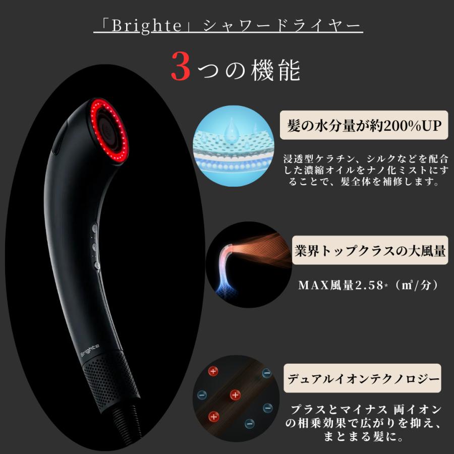 Brighte（ブライト） 【正規品取扱店】Brighte SHOWER DRYER シャワー