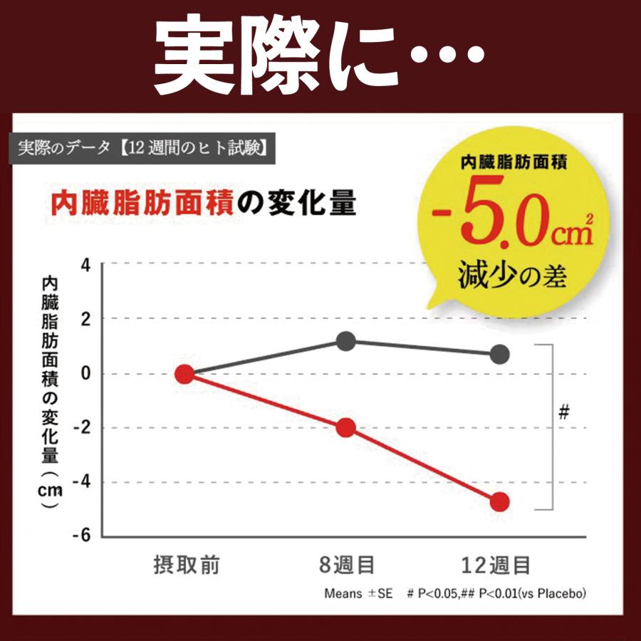 さくらの森 ダイエットサプリ ブラックジンジャー 脂肪燃焼