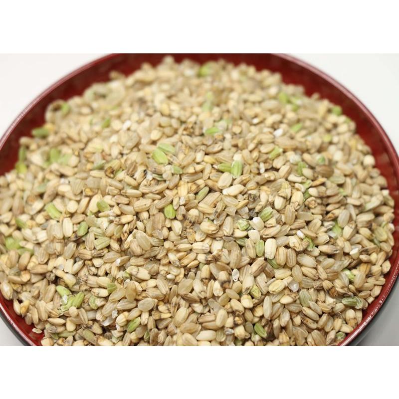 くず米 砕米 小米 キヌヒカリ 令和6年産 兵庫県産 減農薬 ネオニコチ