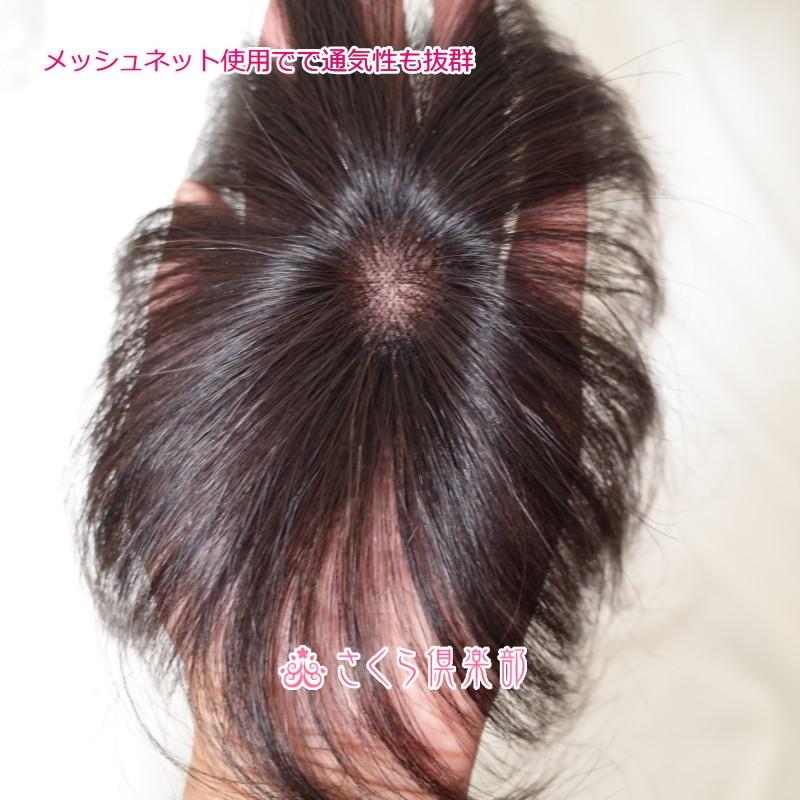 さくら倶楽部 部分ウィッグ 人毛100％ ストレート 総手植え製 Sサイズ