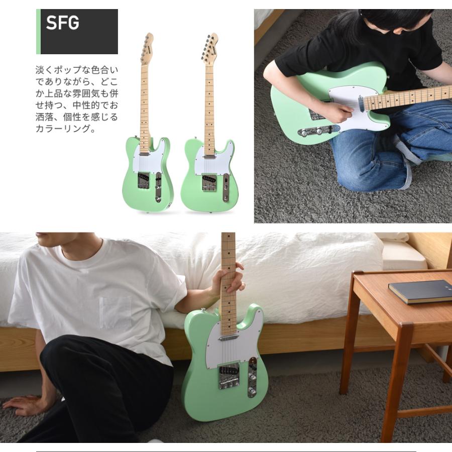 エレキギター テレキャスター タイプ SELDER TL-17 ソフトケース