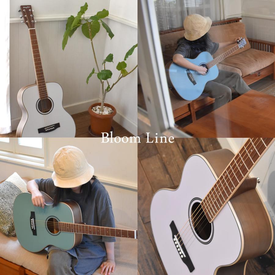 アコースティックギター リミテッドセット W-15.F-15〔初心者セット