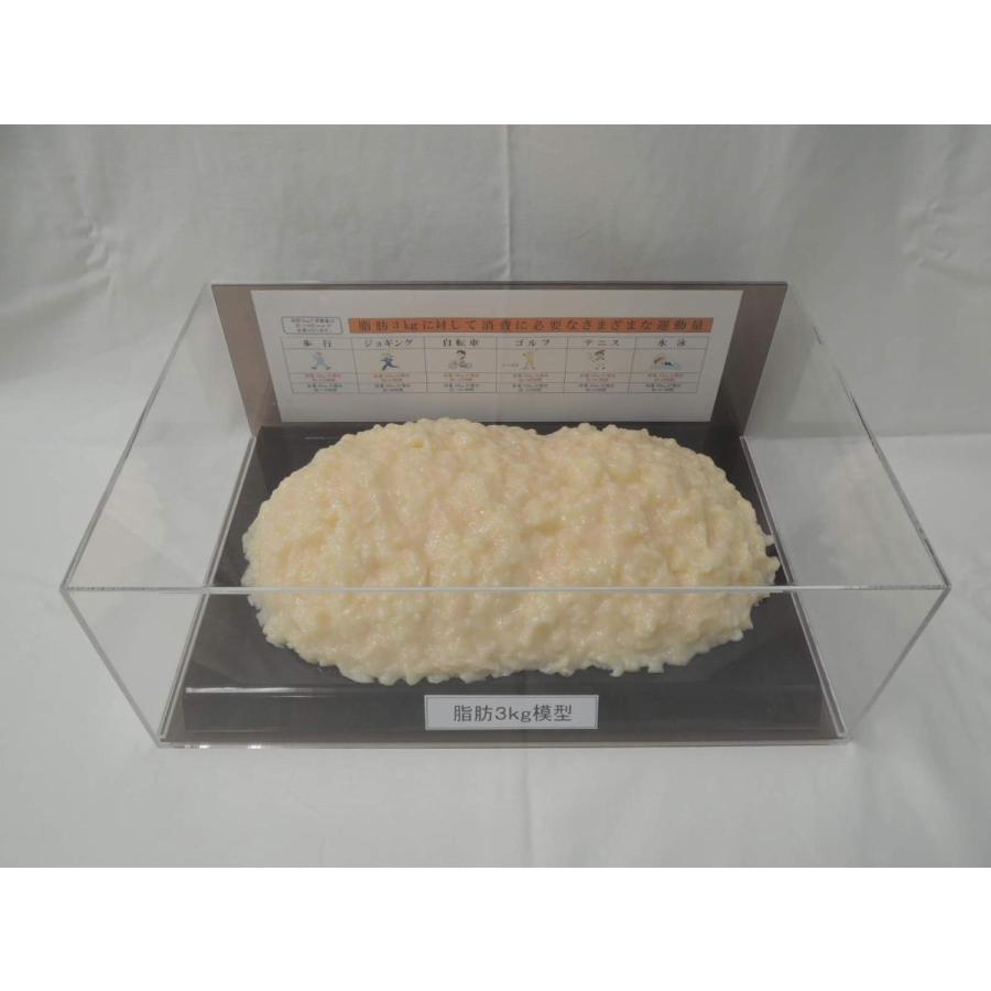 脂肪模型 フィギアケース入 3kg ダイエット 健康 肥満 トレーニング
