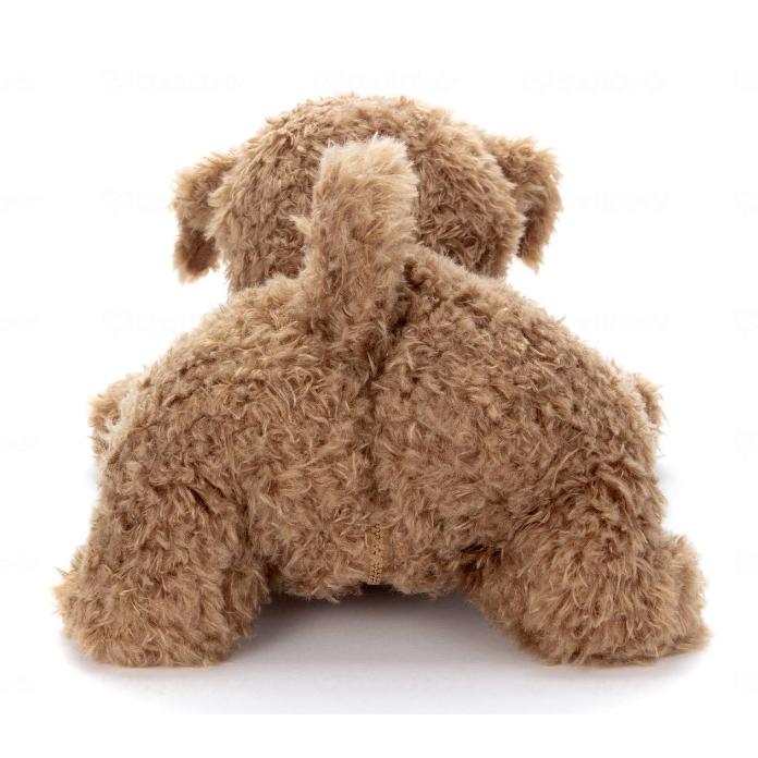 タカラトミー（TAKARA TOMY） (タカラトミーアーツ) もっとおりこう