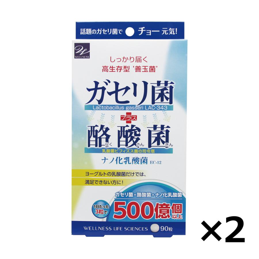 ウェルネスジャパン サプリ サプリメント ガセリ菌＋酪酸菌 90粒 2個