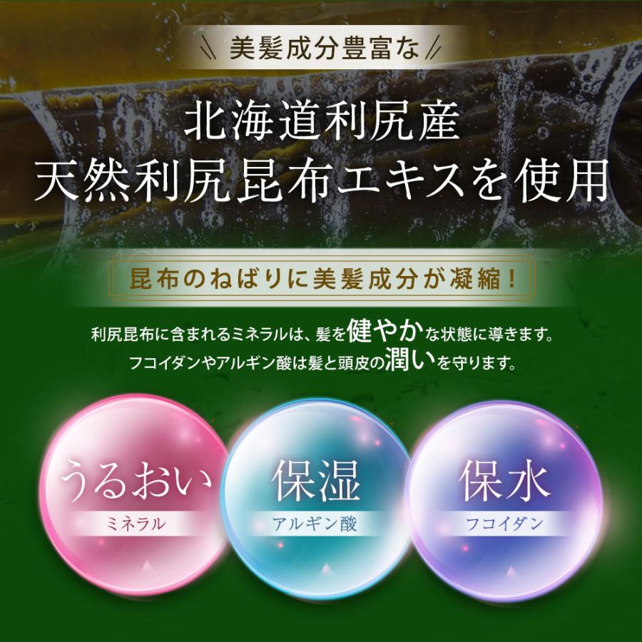 自然派clubサスティ 利尻ヘアカラートリートメント 4本セット 200g 無