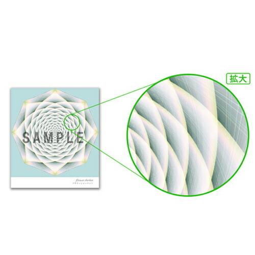 クスリエシート（大） フラワーシャーベット 1枚 丸山修寛先生監修