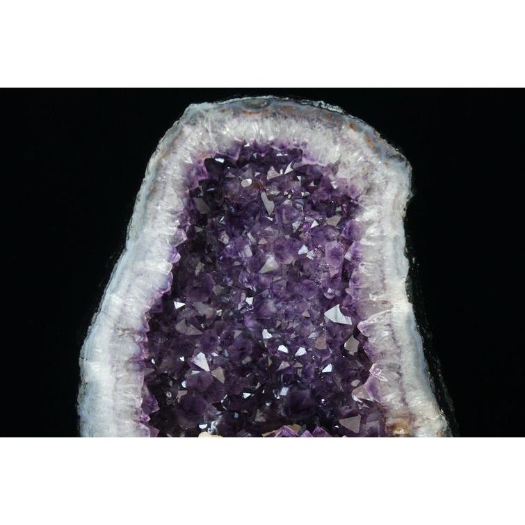 完全予約品:☆ご予約品 ご注文から3ヵ月後の発送予定ty☆11.9Kg