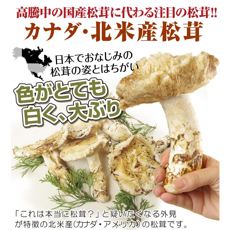 松茸 約150g 北米産 冷蔵便 送料無料 食品 : 食みらい・国華園 - 通販