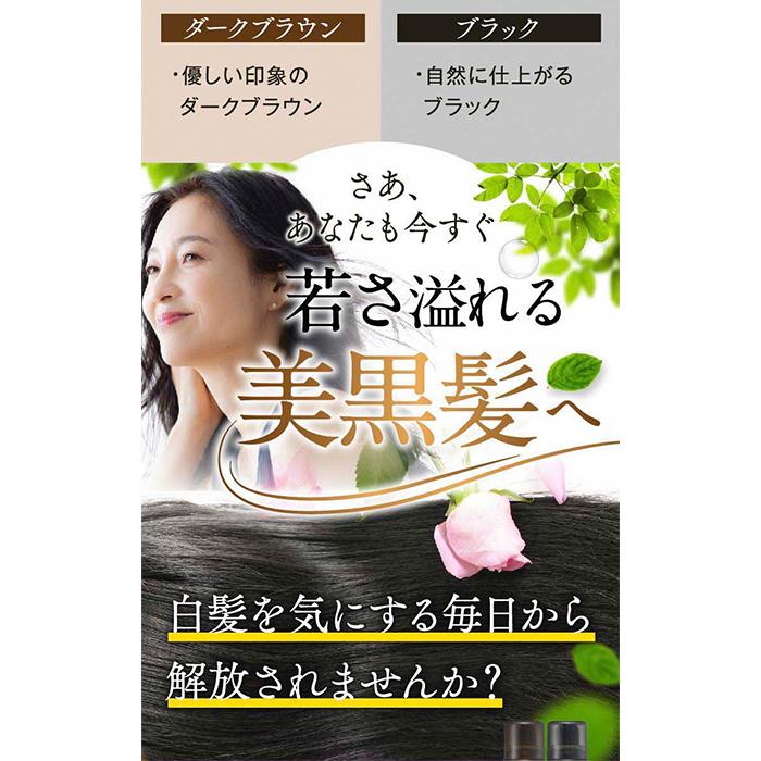 ヘアリシェ ナチュラルエアリーカラー ブラック HAIRICHE 公式