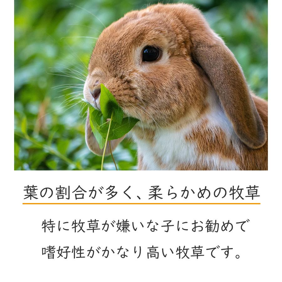 アメリカンペットダイナー チモシーゴールド2番刈り 680g 小動物用