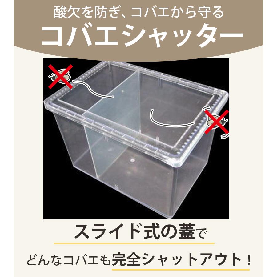 飼育ケース コバエシャッター ラージ クリア 透明 シーラケース 昆虫