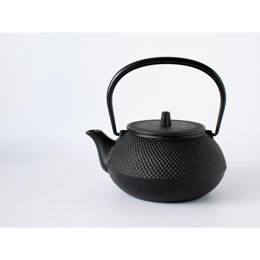 岩鋳（IWACHU） 鉄瓶兼用急須 新アラレ 900ml 茶こし付き いわちゅう