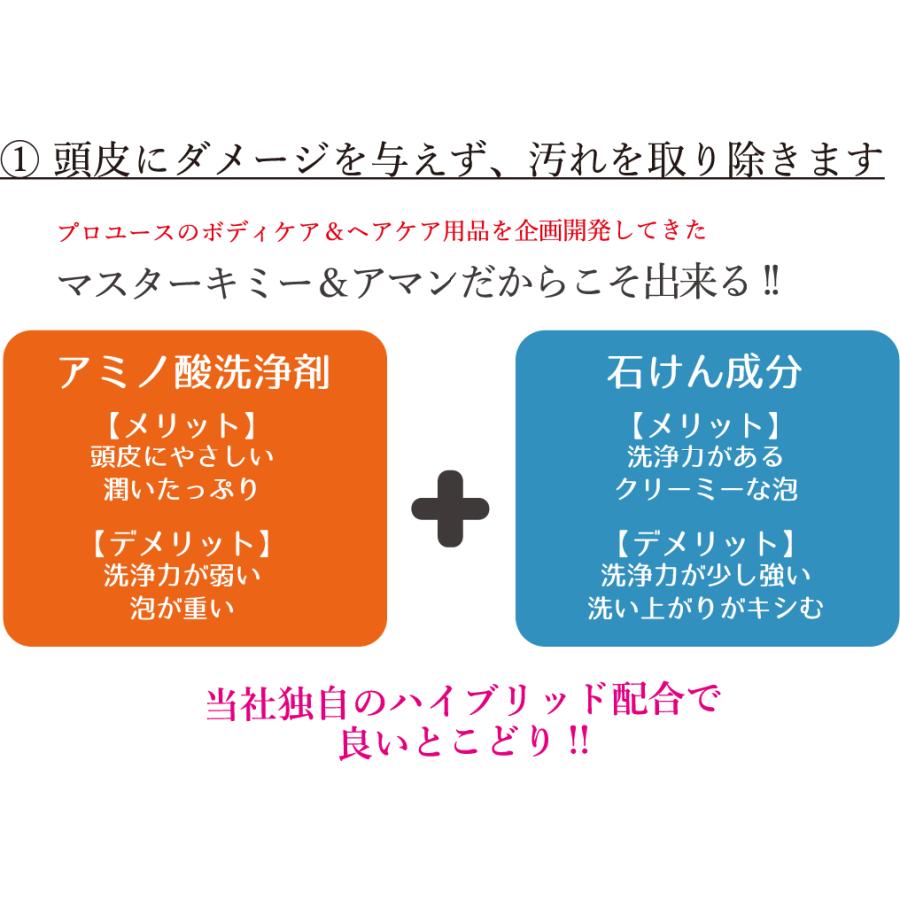 シャンプー マスターキミーシャンプー 香料2本付き プラチナ電子液
