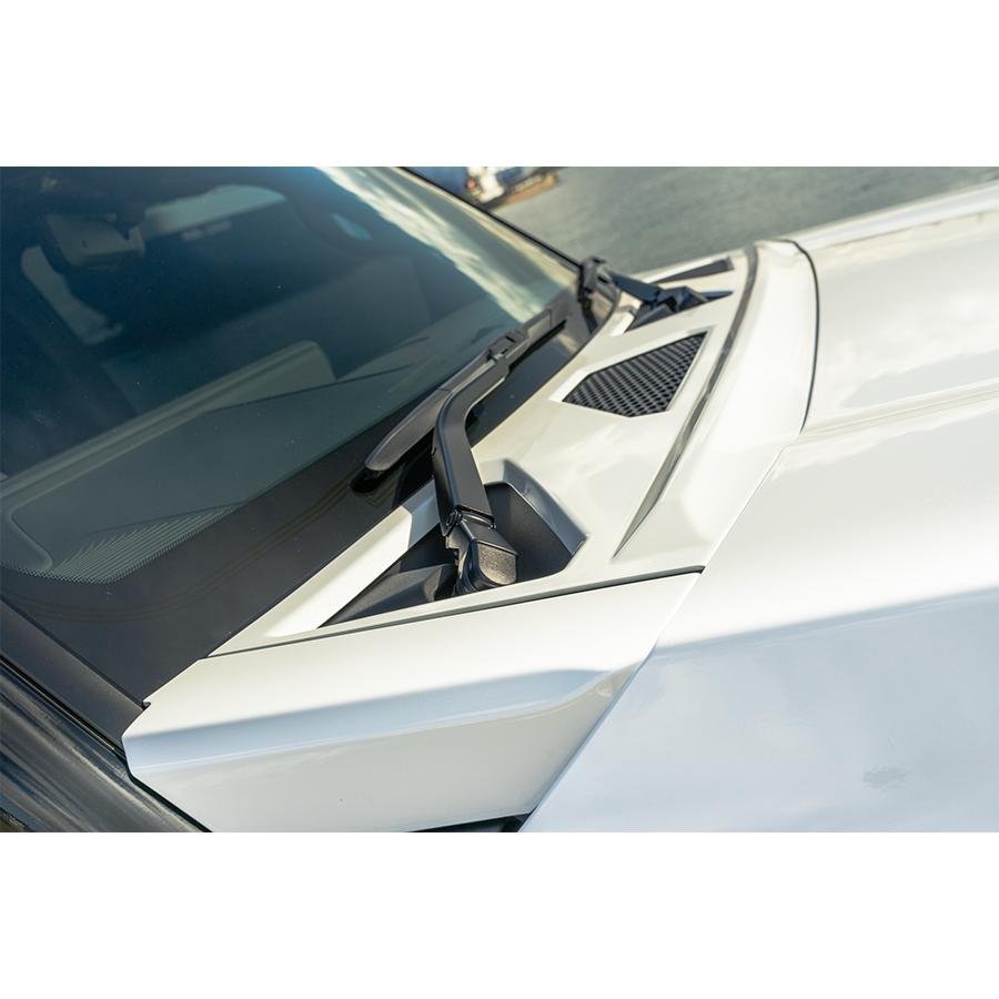 250系ランドクルーザーZX/VX カウルカバー塗装済み/ABS未塗装(ダブル