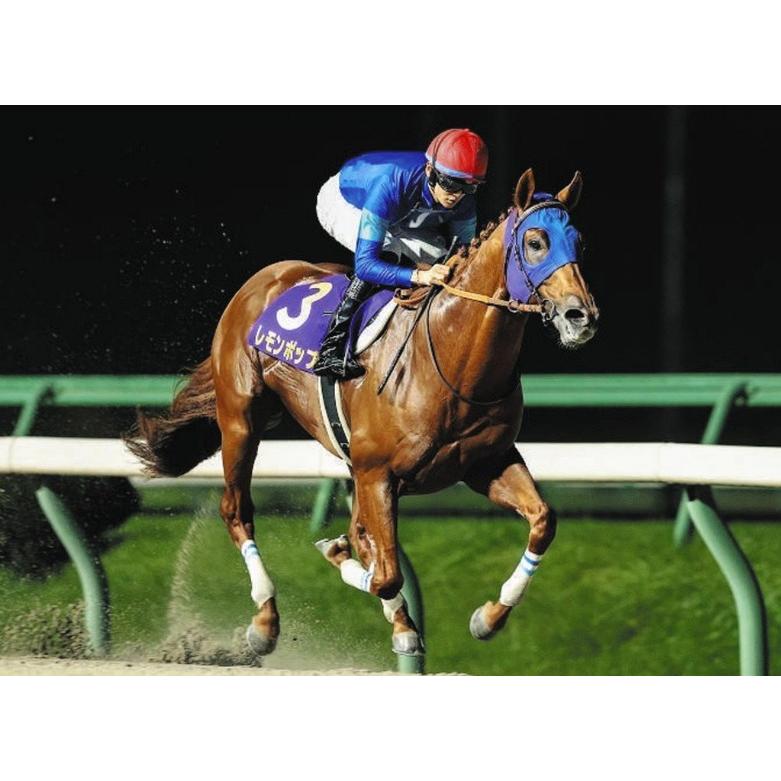 レモンポップ ぬいぐるみ Mサイズ アイドルホース 競馬グッズ 第24回