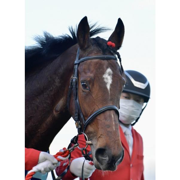 リバティアイランド 三冠制覇特別仕様！ Mサイズ！ ぬいぐるみ