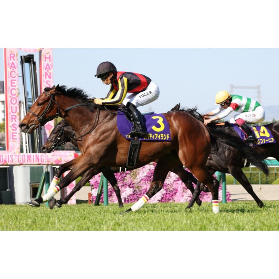 リバティアイランド 三冠制覇特別仕様！ Sサイズ ぬいぐるみ アイドル